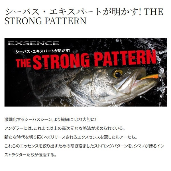 EXSENCE サイレントアサシン 99SP AR-C